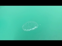 Orthochlorobenzaldéhyde liquide CAS 89-98-5